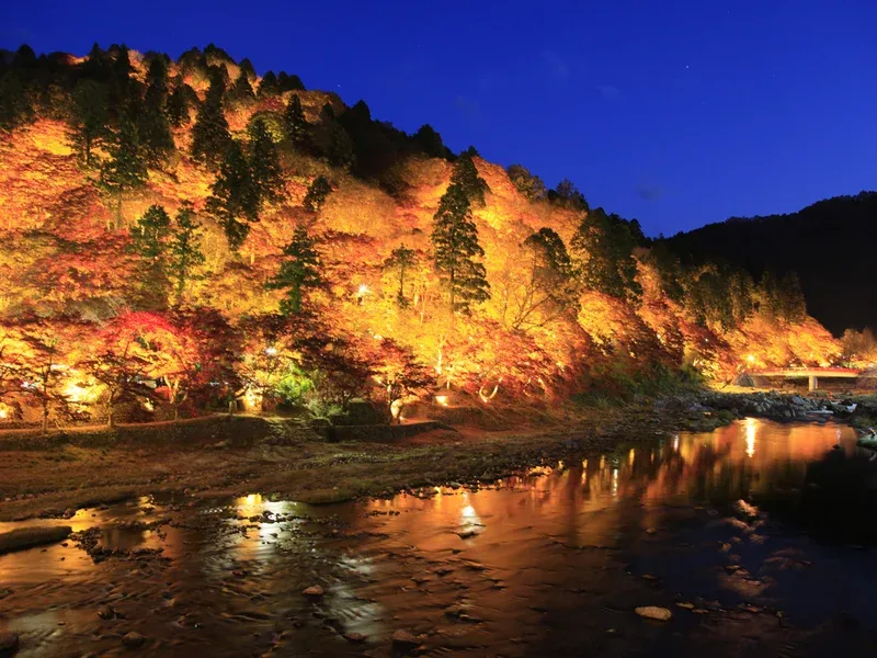 Mt. Iimori Illumination