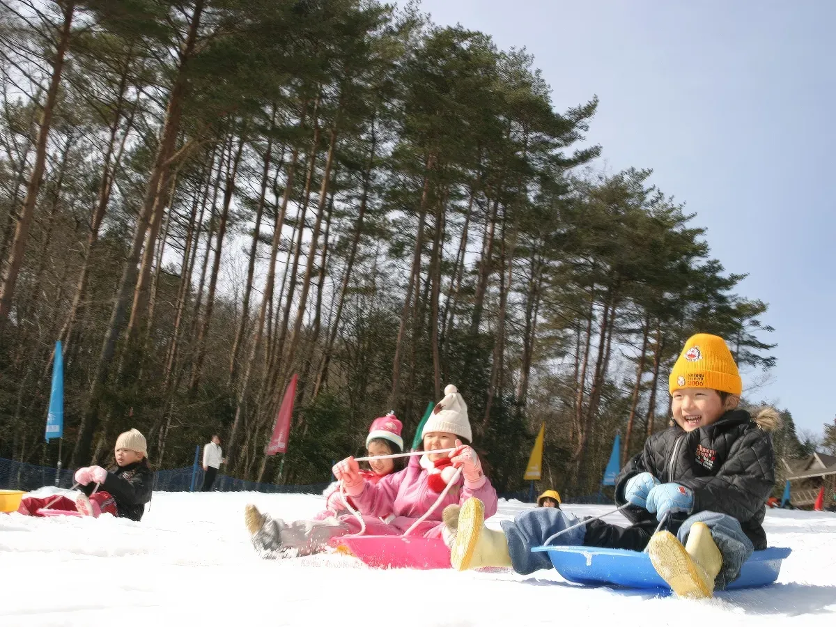 Slide Into Winter Fun!