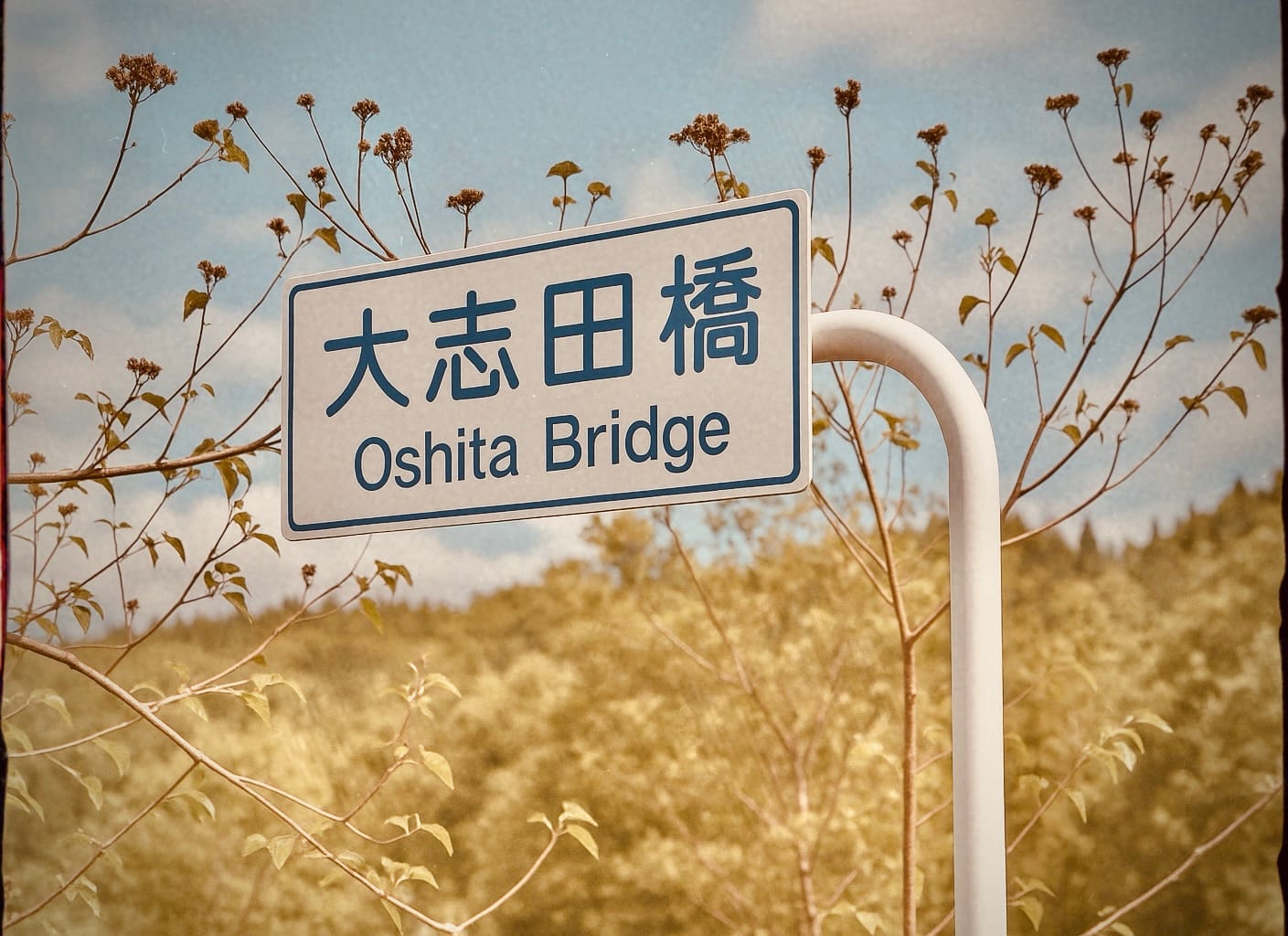 What's Going On Nagoya? May 30